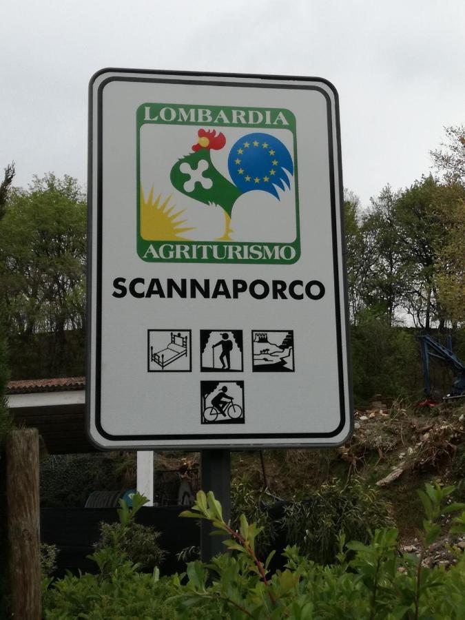 Agriturismo Scannaporco Cavriana ภายนอก รูปภาพ